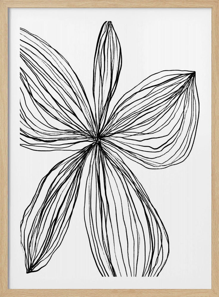 Minimalist Black and White Petals | Poster