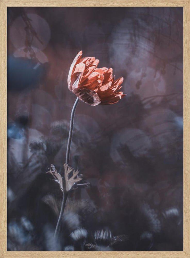 Elegance | Poster