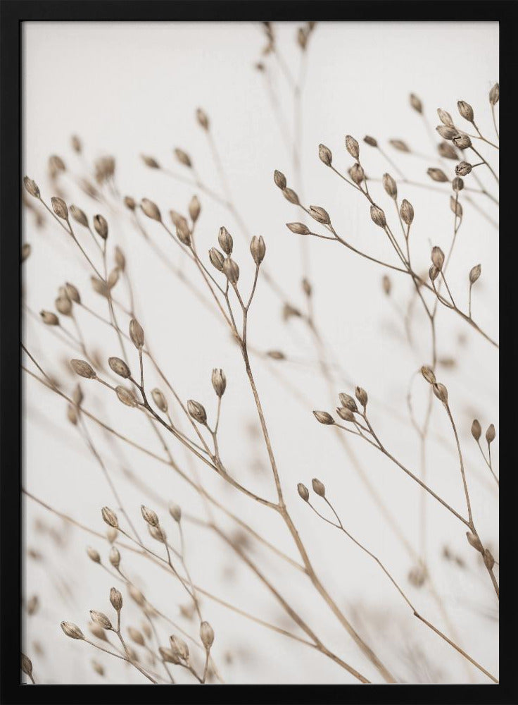 Wild Grass | Poster