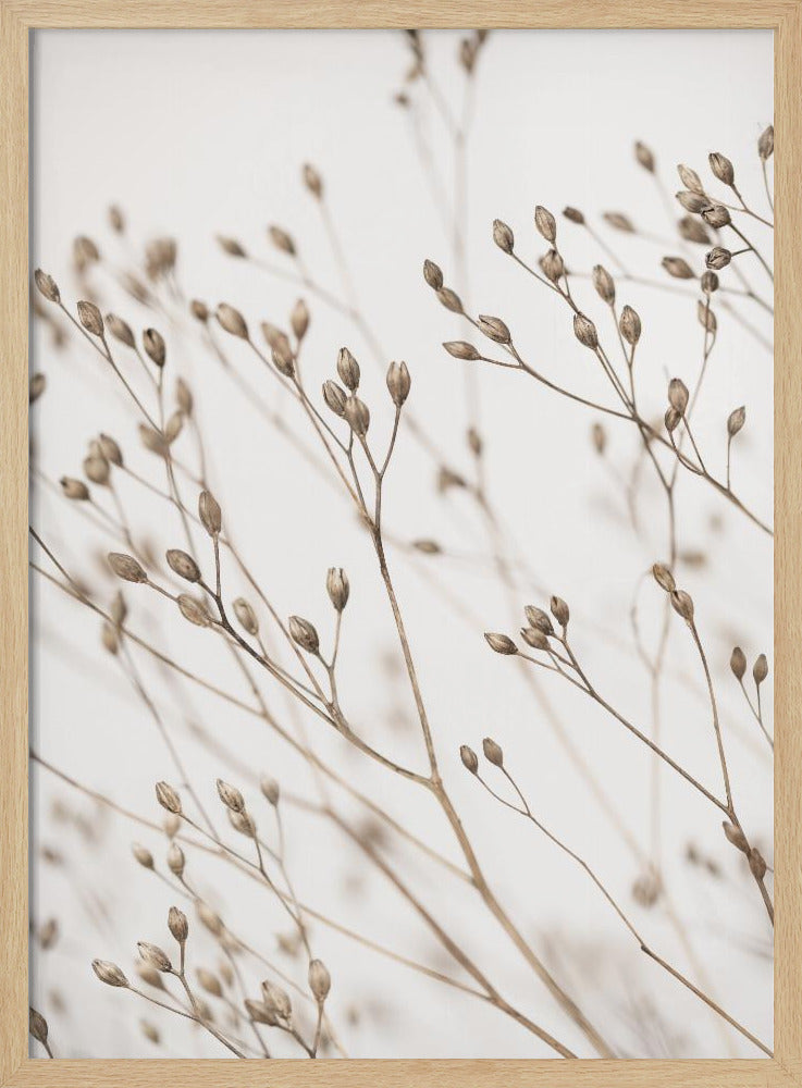 Wild Grass | Poster