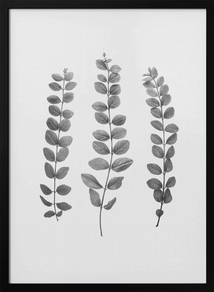 Twigs | Poster