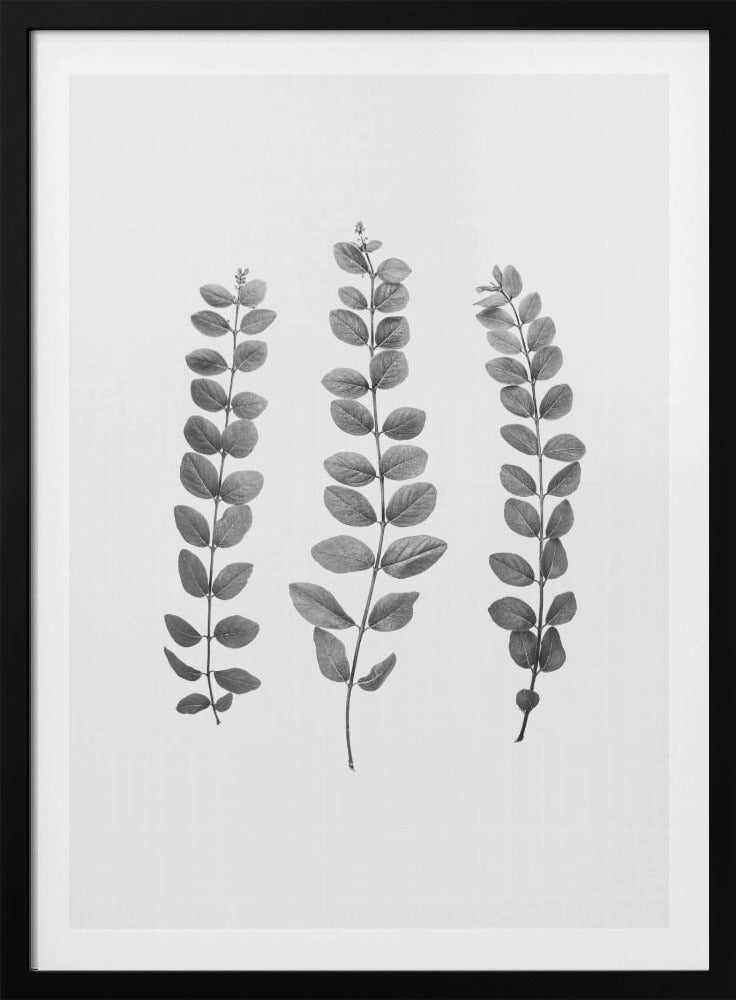 Twigs | Poster
