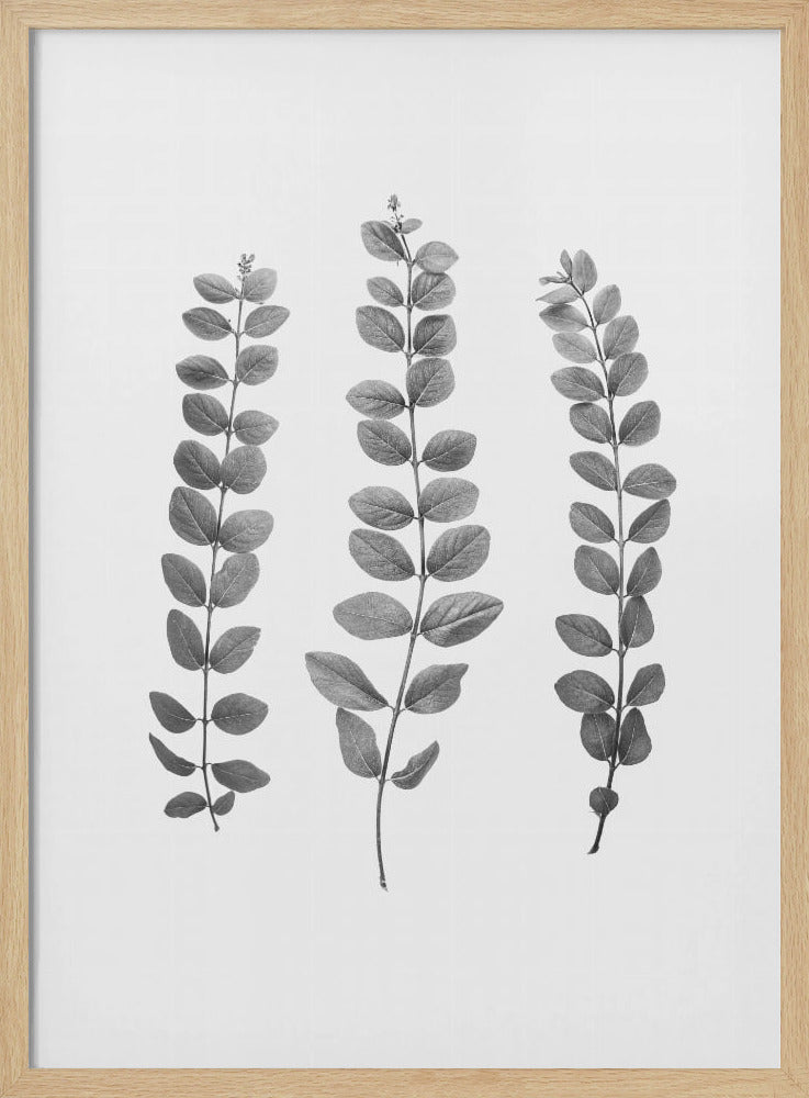 Twigs | Poster