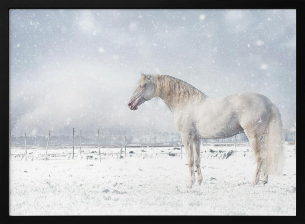 Let it snow... | Poster