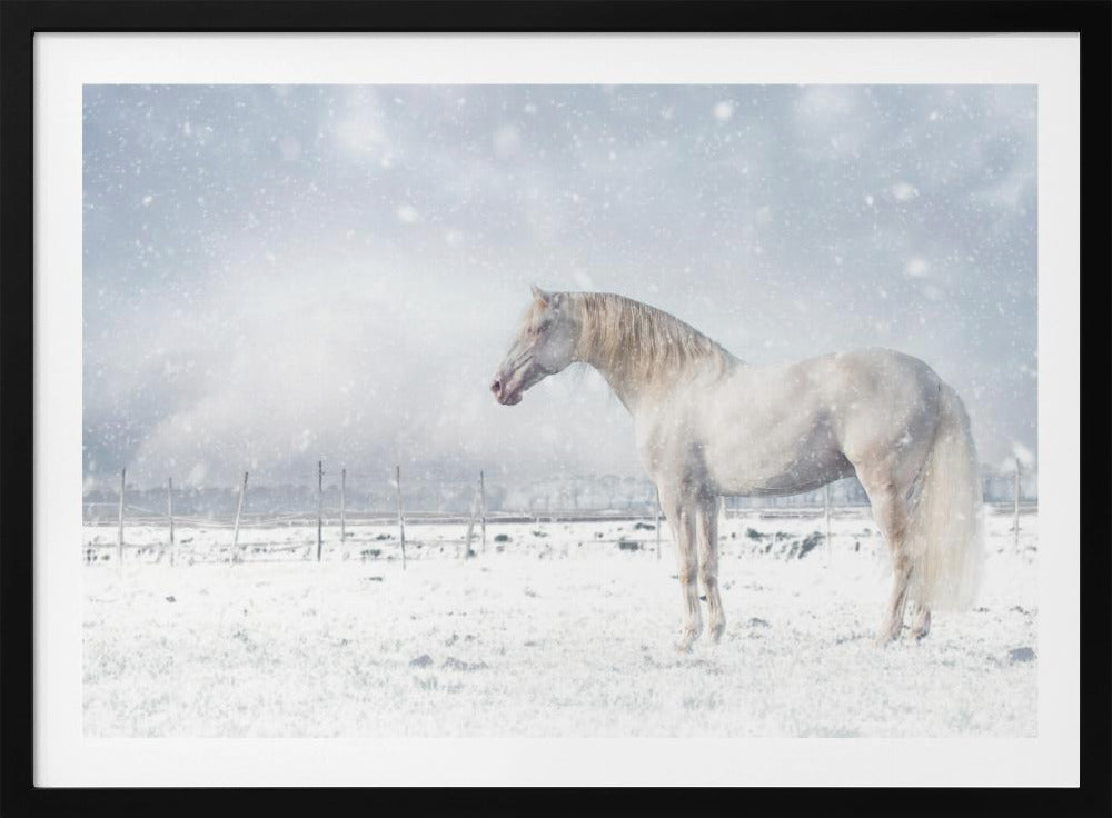 Let it snow... | Poster