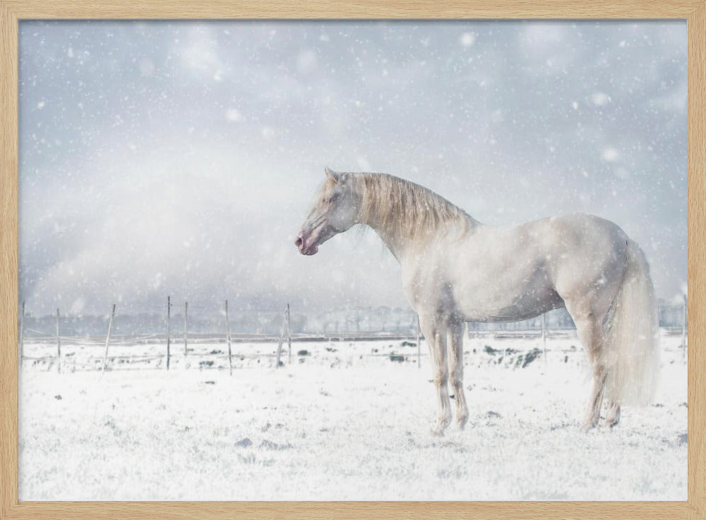 Let it snow... | Poster