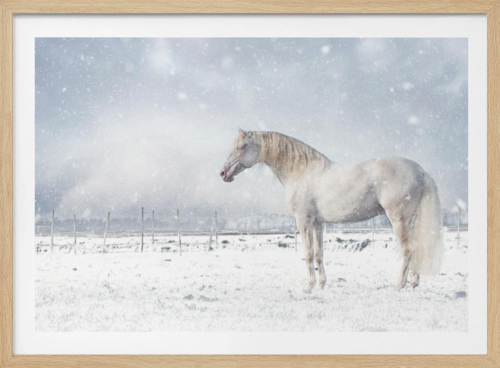 Let it snow... | Poster