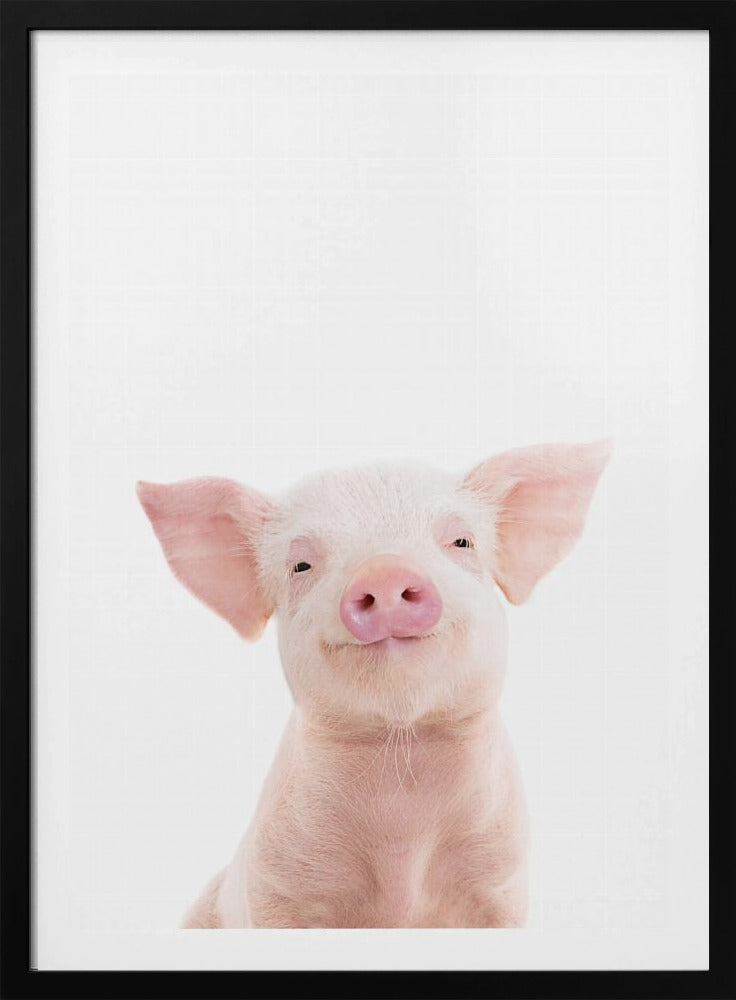 Baby Pig | Poster
