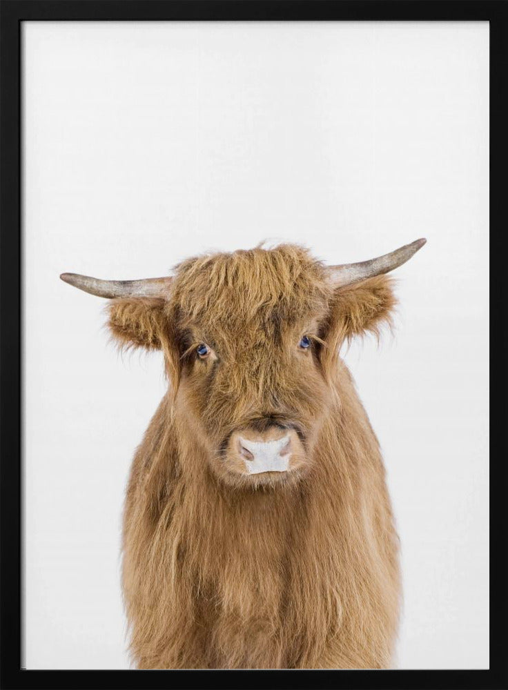 Baby Cow | Poster