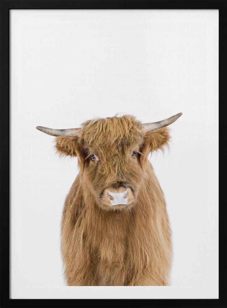 Baby Cow | Poster