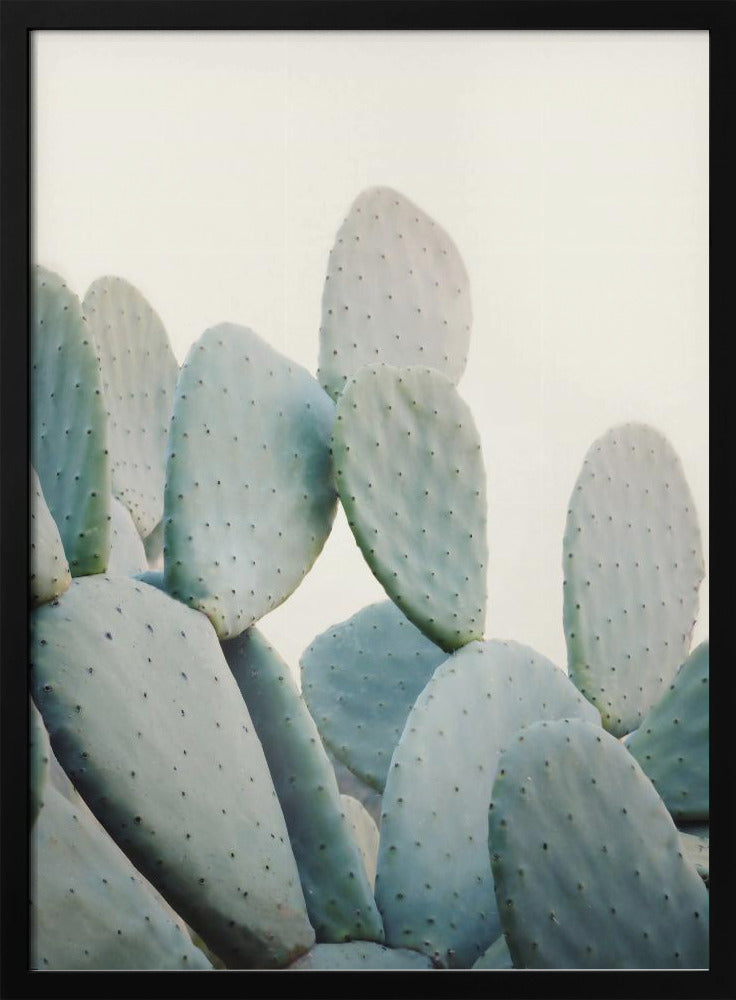 Pastel Cacti | Poster