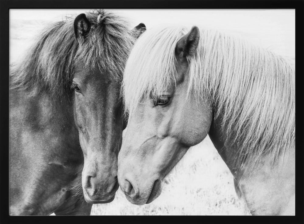 Horse Love | Poster