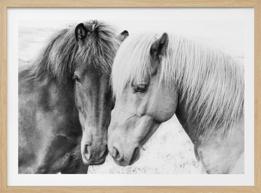 Horse Love | Poster