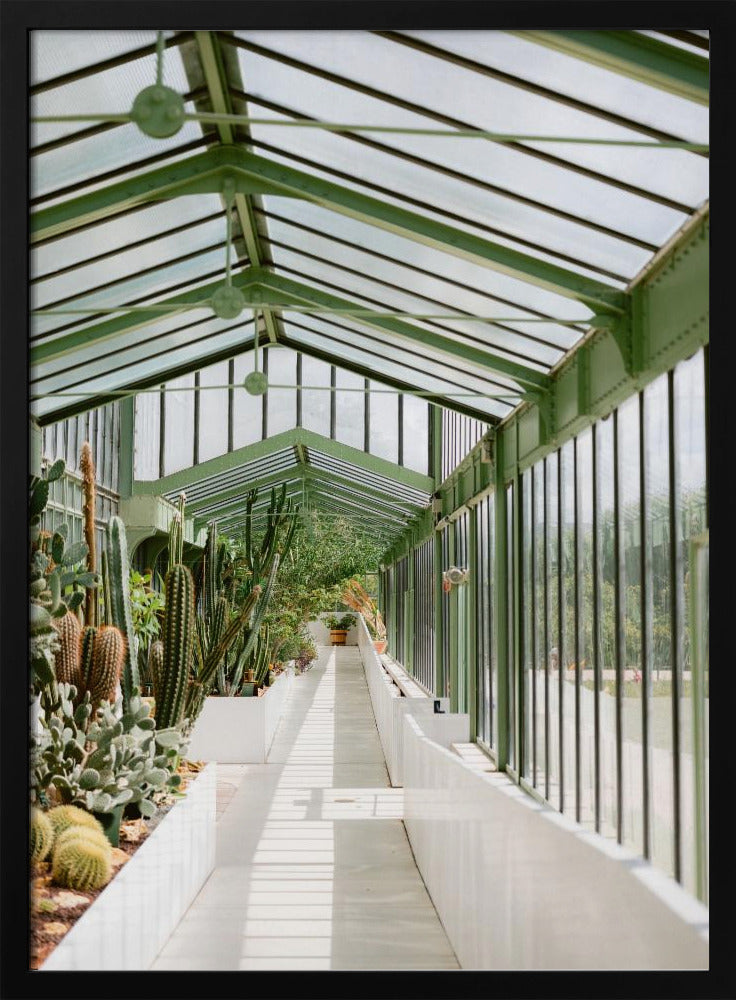 Botanical garden of Paris | Poster