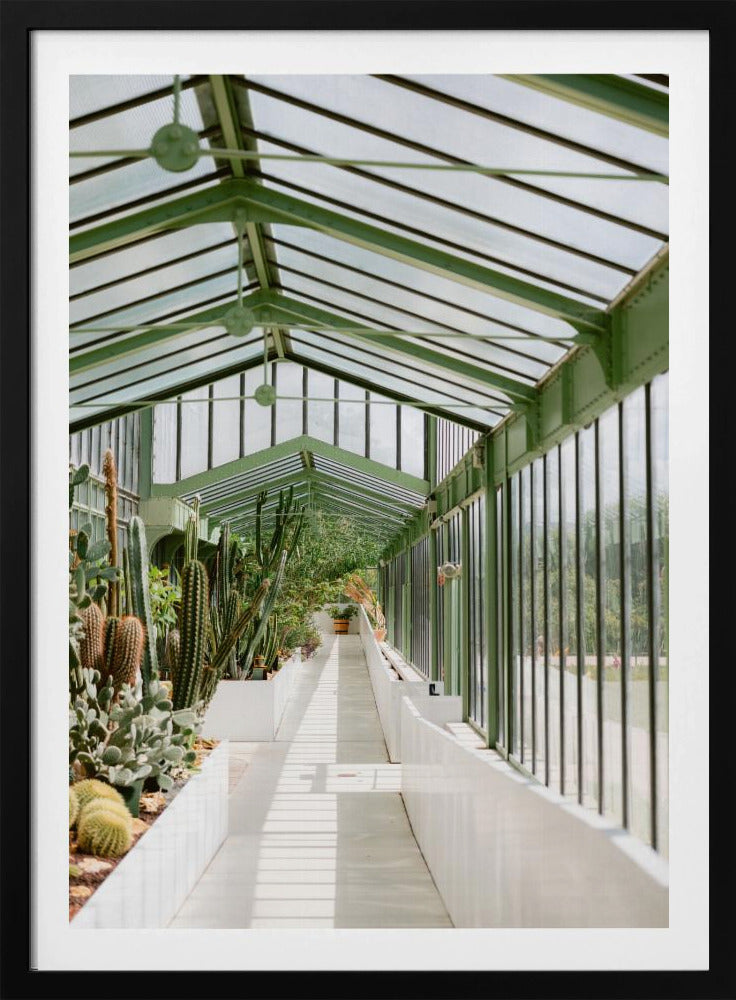 Botanical garden of Paris | Poster