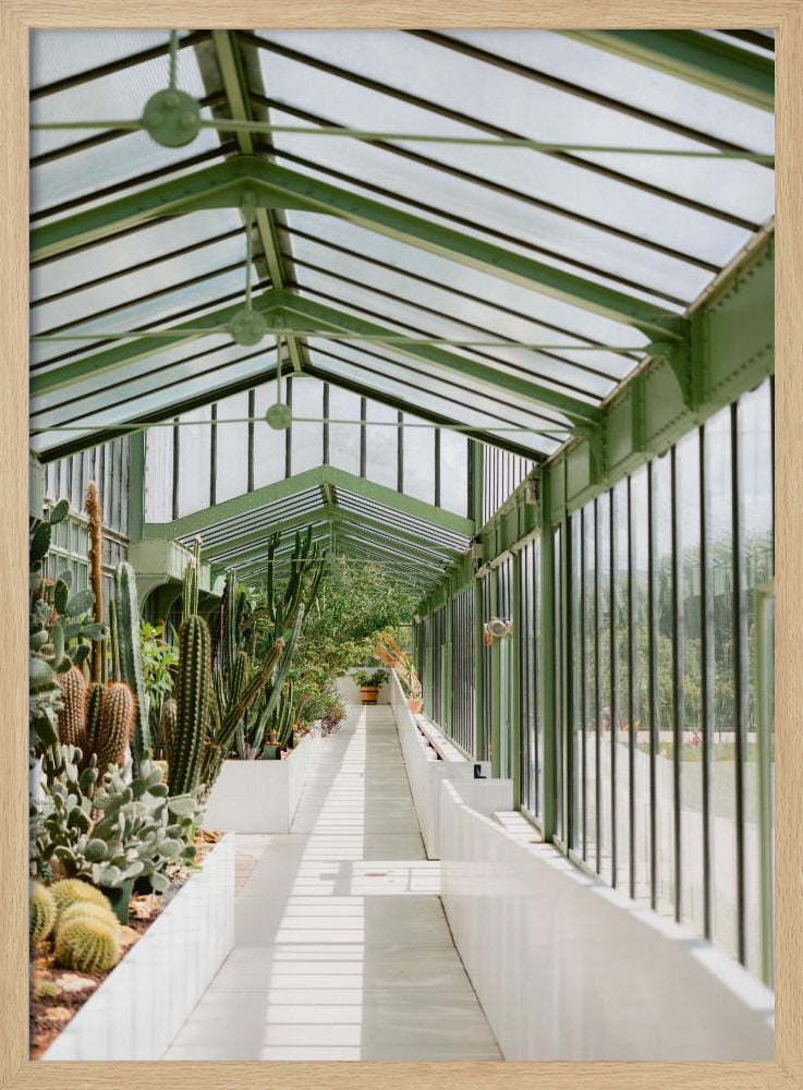 Botanical garden of Paris | Poster