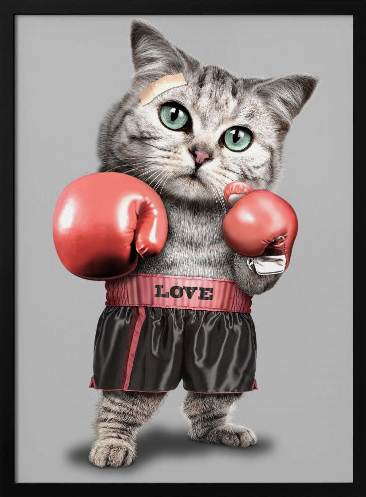 boxing cat | Poster