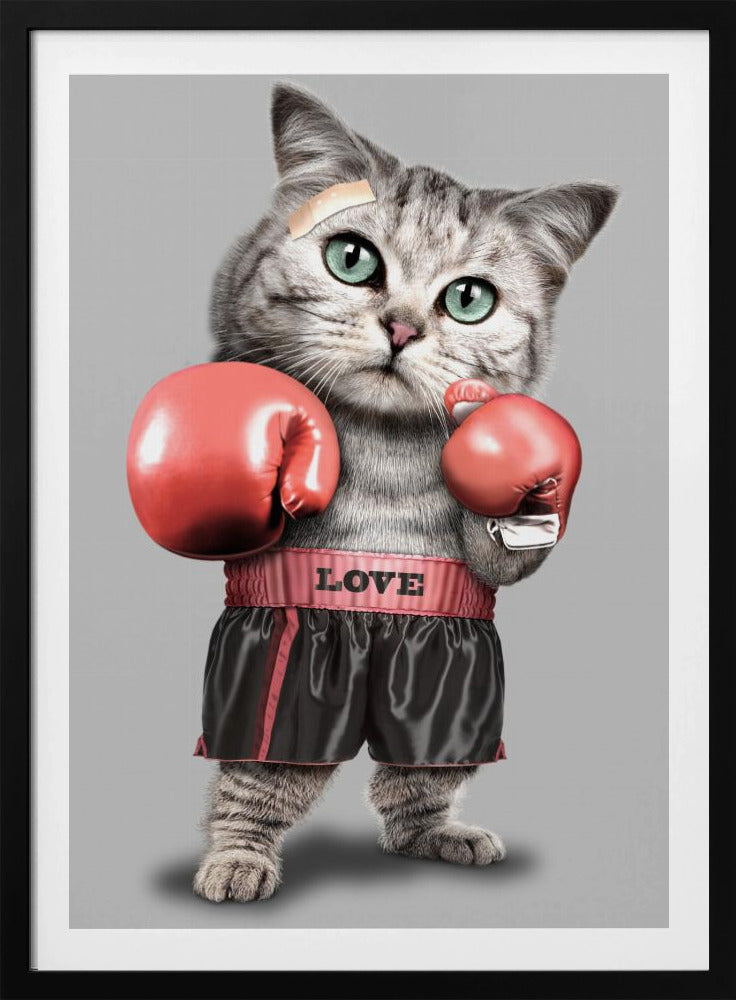 boxing cat | Poster