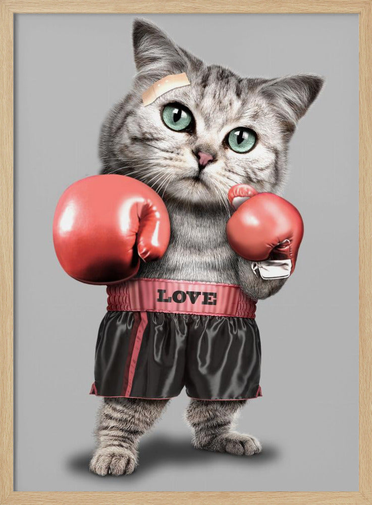 boxing cat | Poster