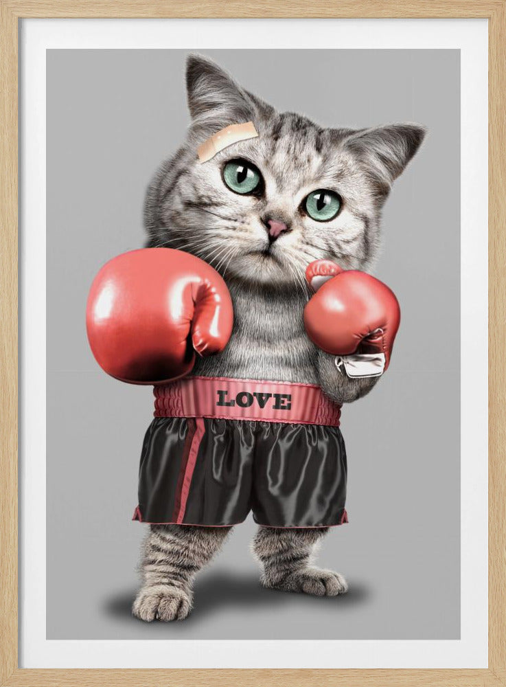 boxing cat | Poster