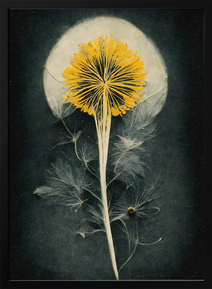 Celestial Bloom | Poster