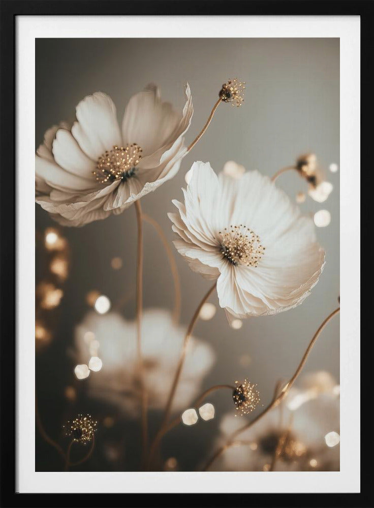 Petal Glow | Poster