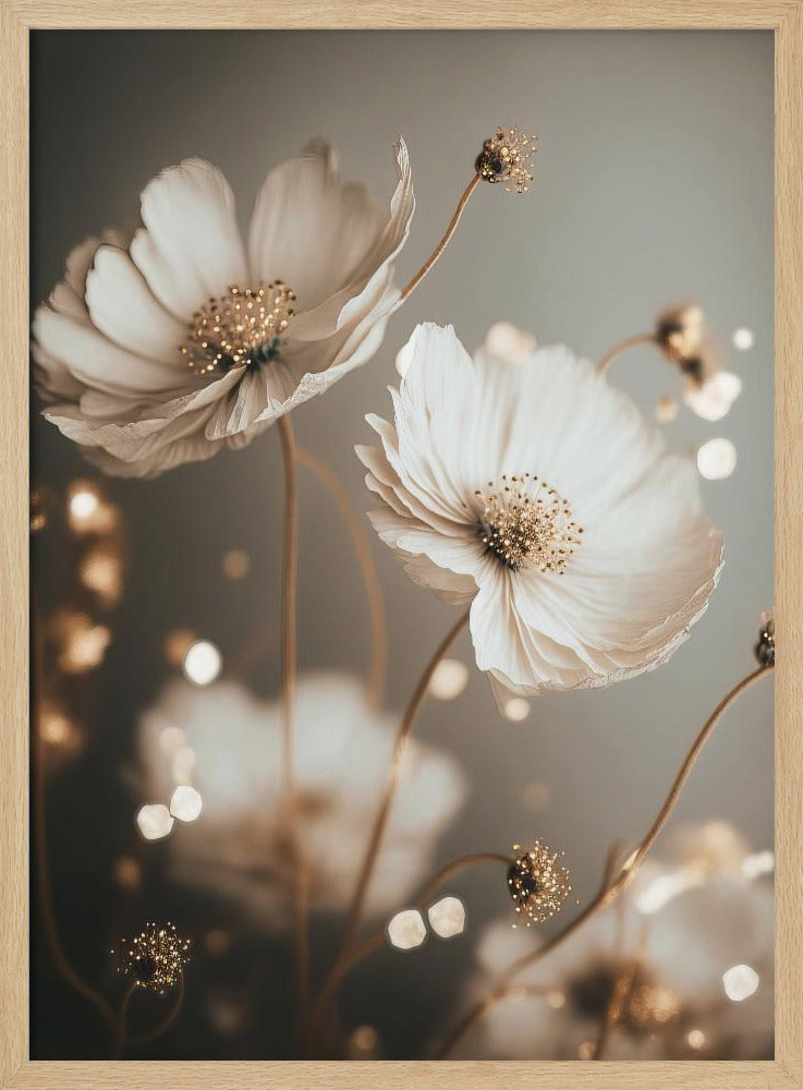 Petal Glow | Poster