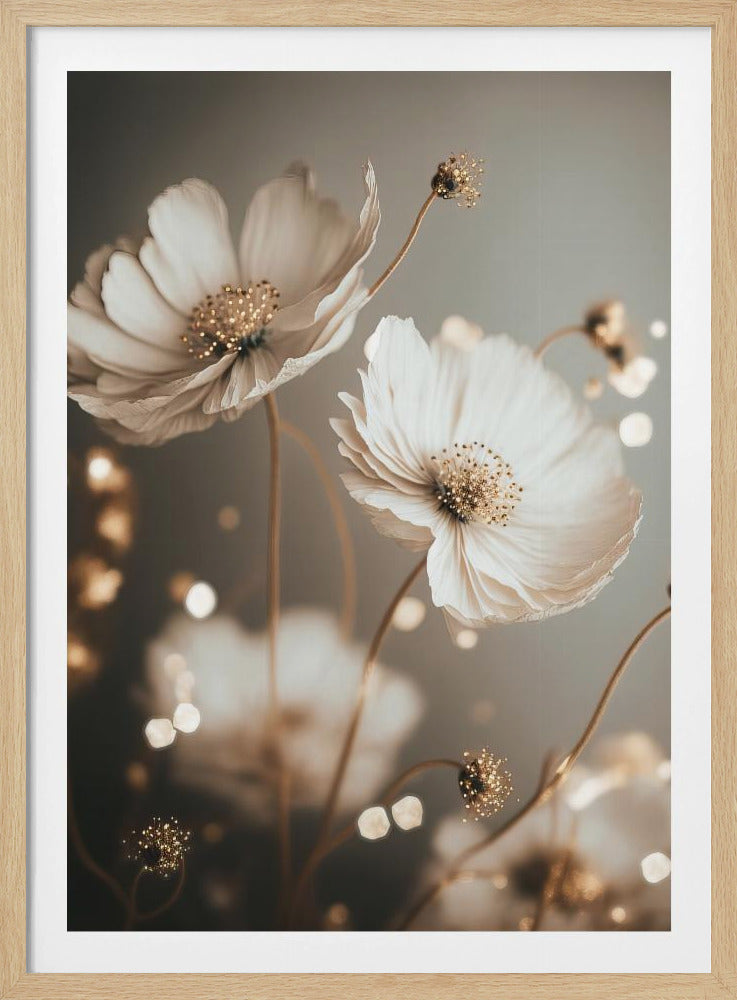Petal Glow | Poster