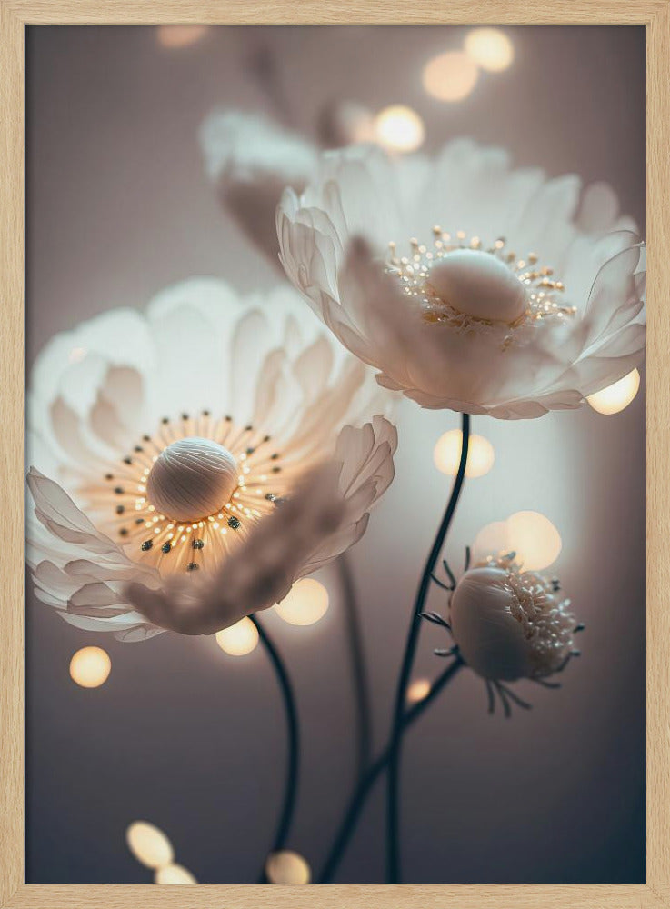 Dreamy Blossoms | Poster