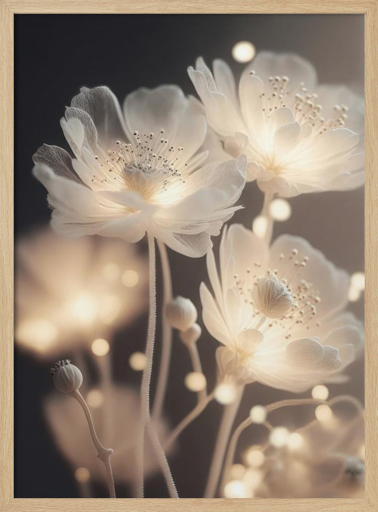 Glowing Petals | Poster