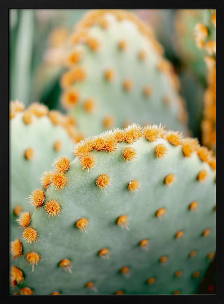 Orange and Green II - Marrakech botanical photography | Poster