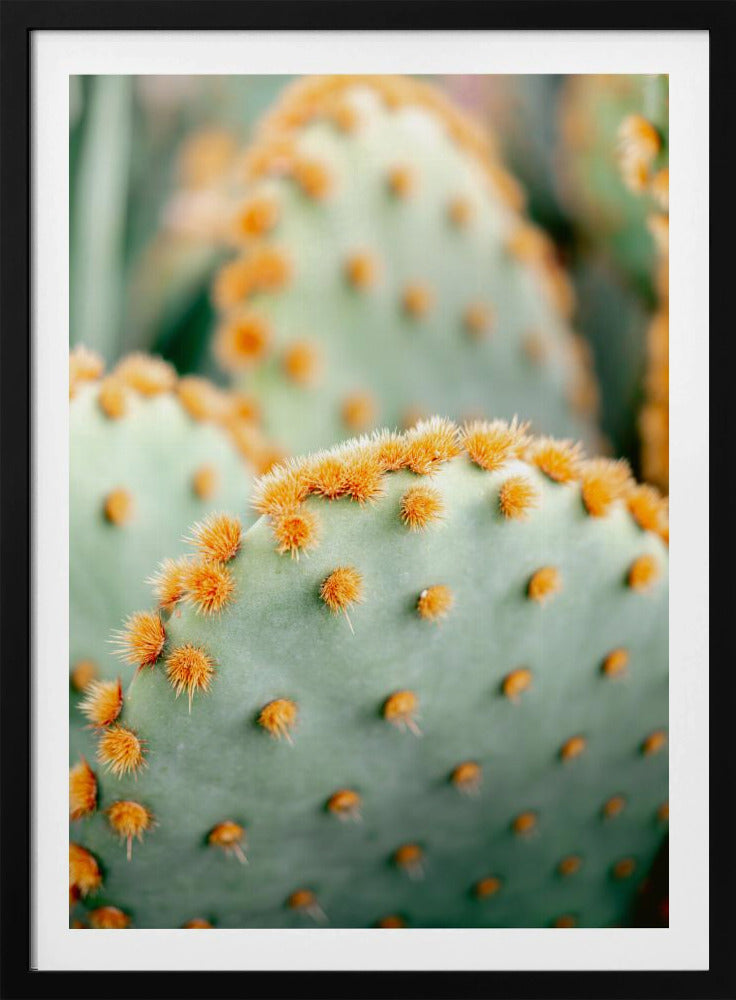Orange and Green II - Marrakech botanical photography | Poster