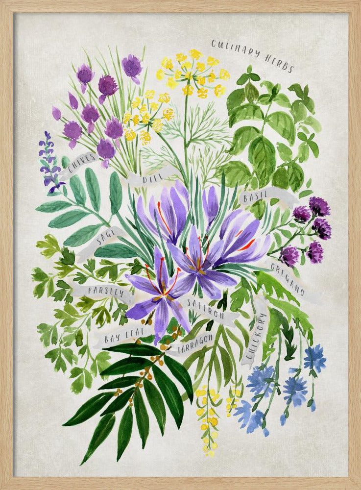 Culinary herbs in vintage gray | Poster