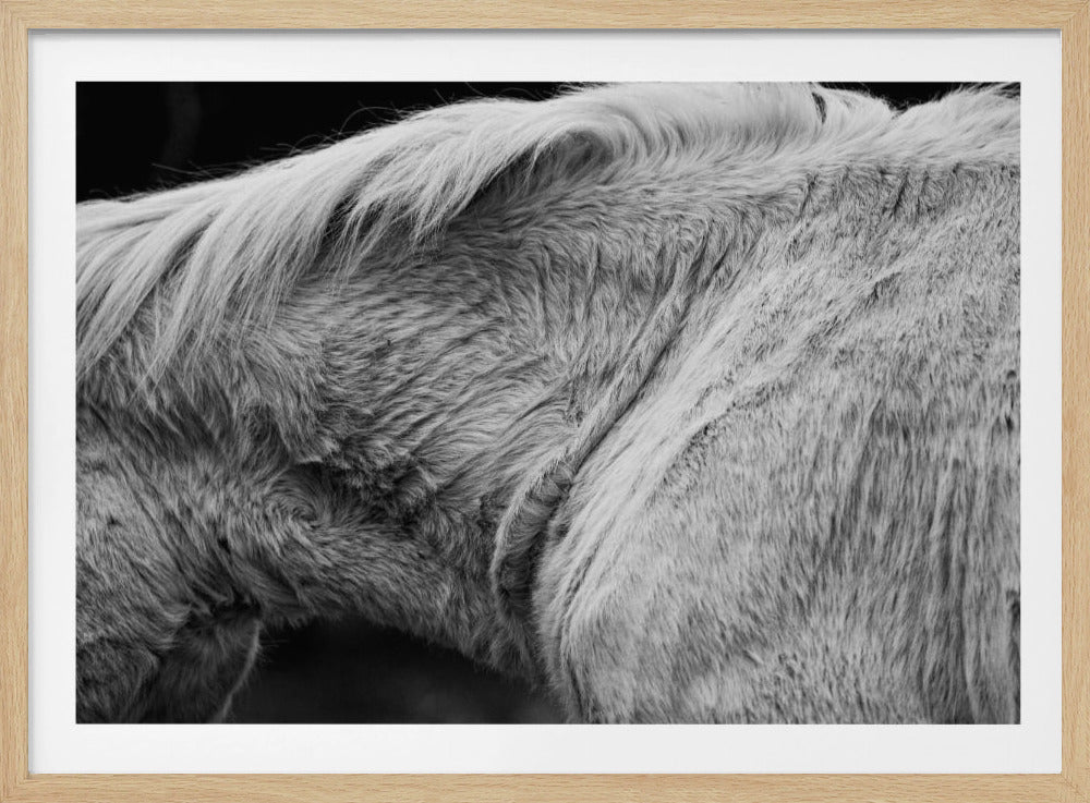 Horse II | Poster