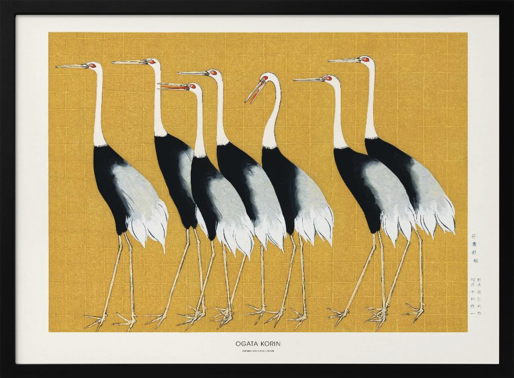 Japanese Red Crown Crane | Poster