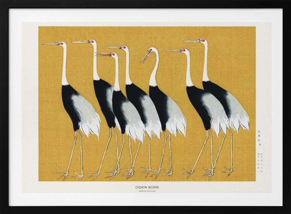 Japanese Red Crown Crane | Poster