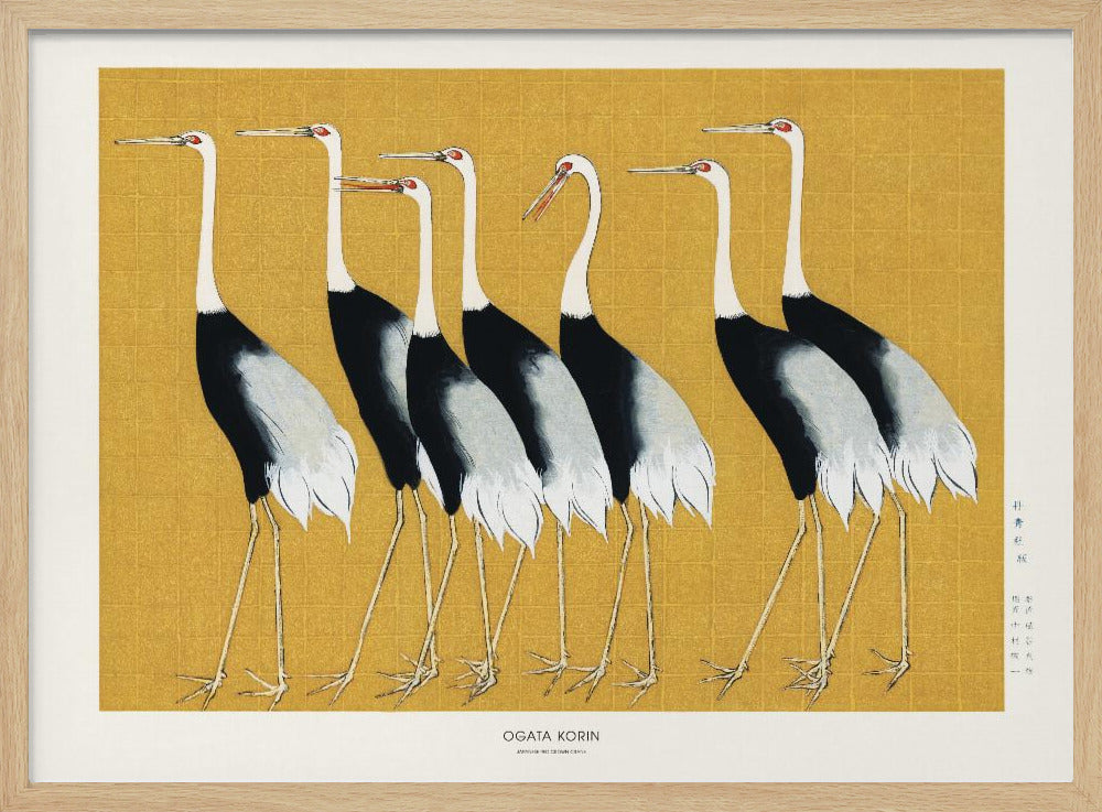 Japanese Red Crown Crane | Poster