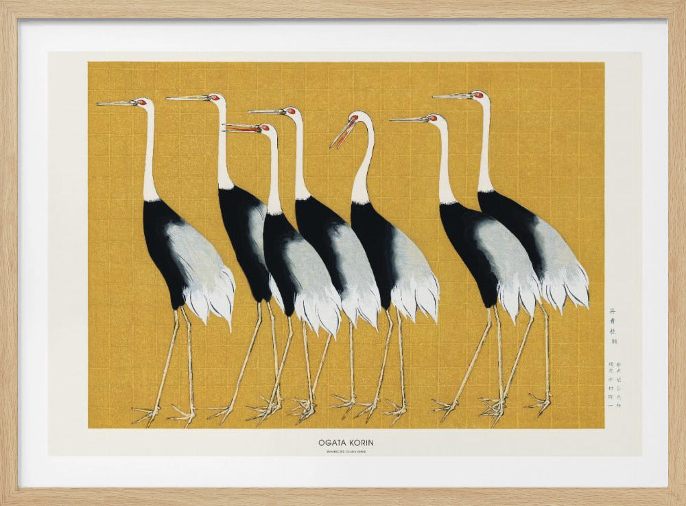Japanese Red Crown Crane | Poster