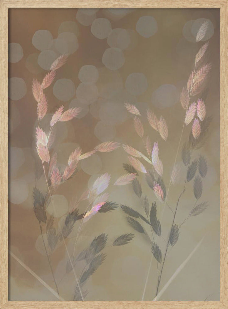 Memories in pastel . | Poster