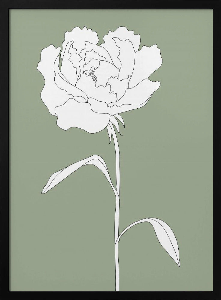 Rose in Green | Poster