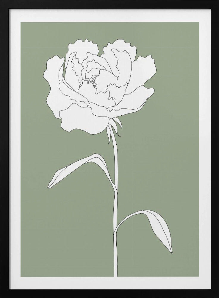 Rose in Green | Poster