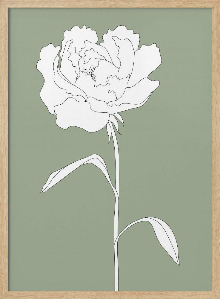 Rose in Green | Poster
