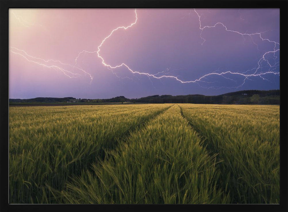 Lightning | Poster