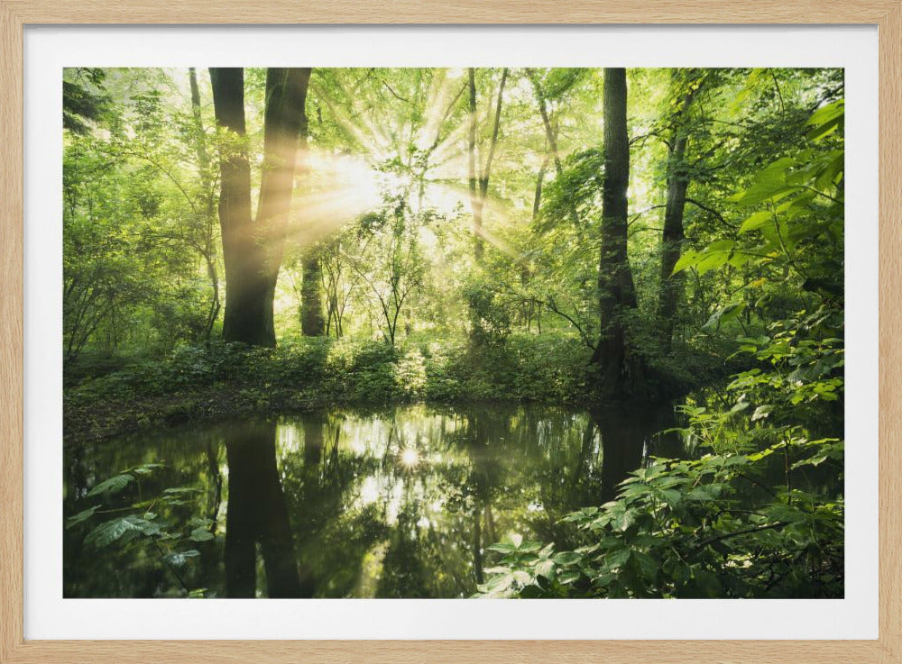Green Park | Poster