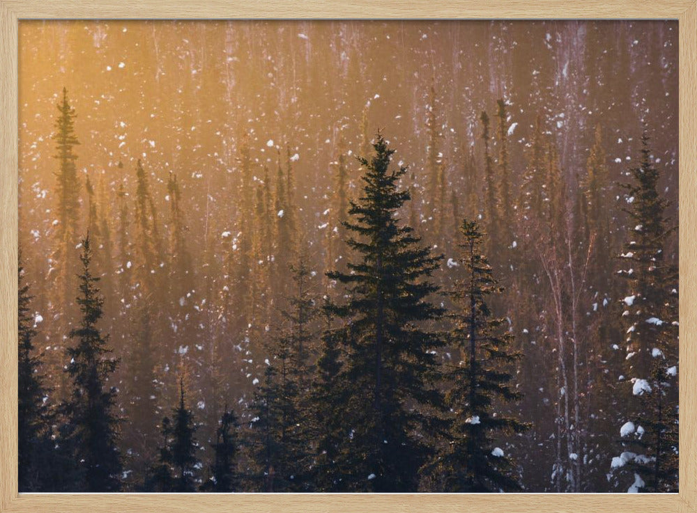 Snow Flakes | Poster