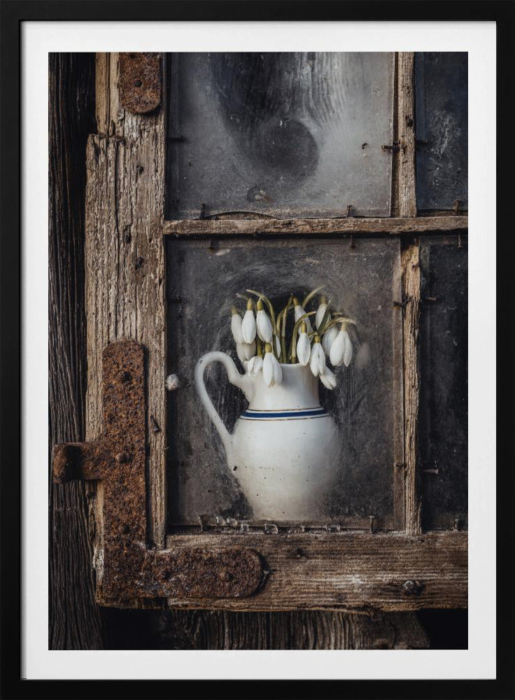 Spring flowers in the window | Poster