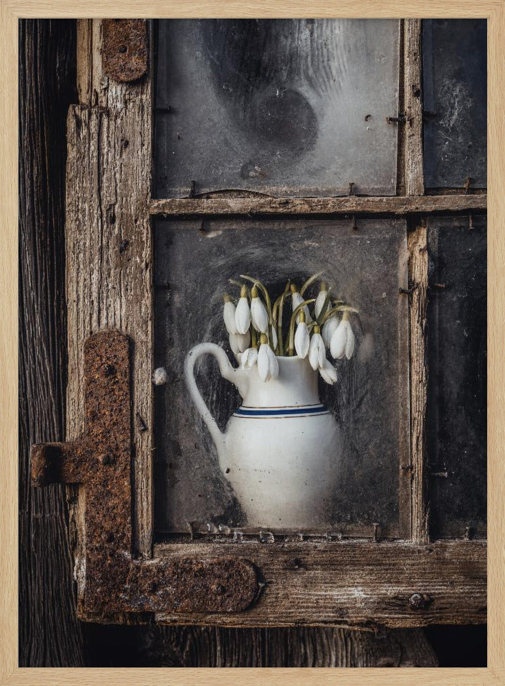 Spring flowers in the window | Poster