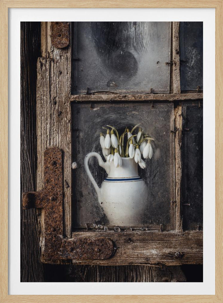 Spring flowers in the window | Poster