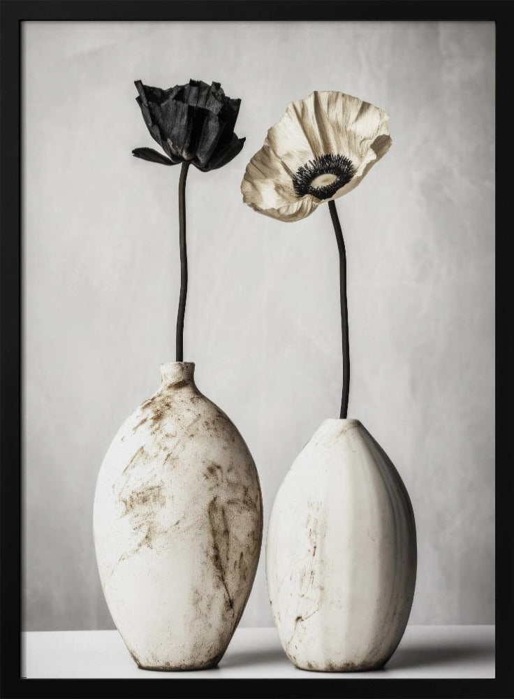 Contrasting Blooms | Poster