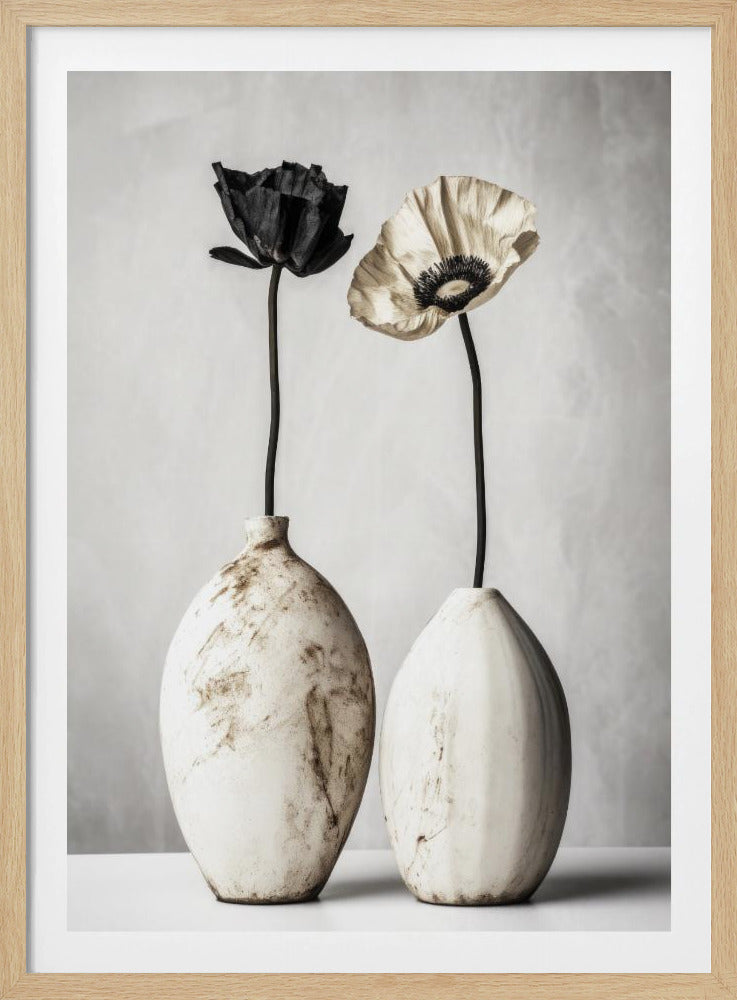 Contrasting Blooms | Poster